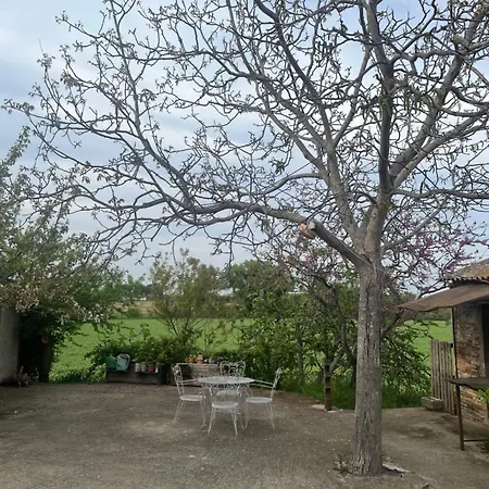 Country House Borghetto (Ancona)