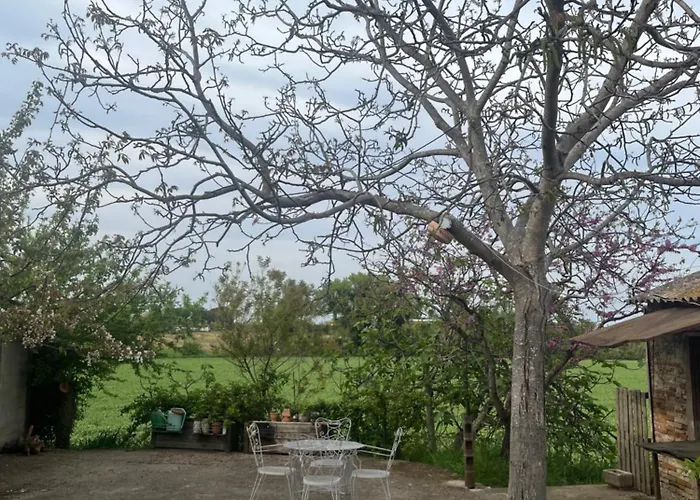 Country House Borghetto (Ancona)